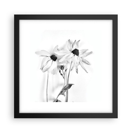 Poster 30x30cm appassito fiori - 30x30cm,