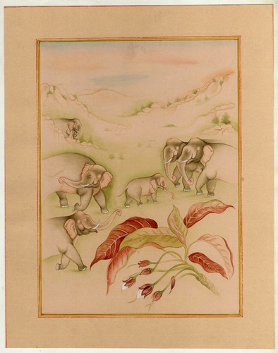 Dipinto elefante arte - dipinto,