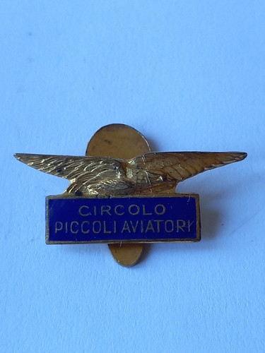 Distintivo smaltato - distintivo,