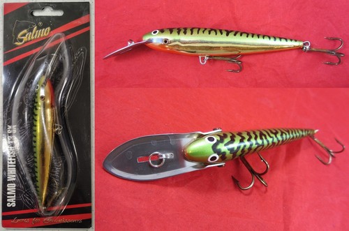 Salmo polonia pesce bianco - pesce,