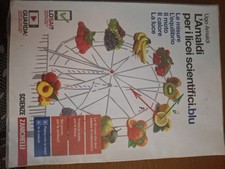 L'Amaldi per i licei