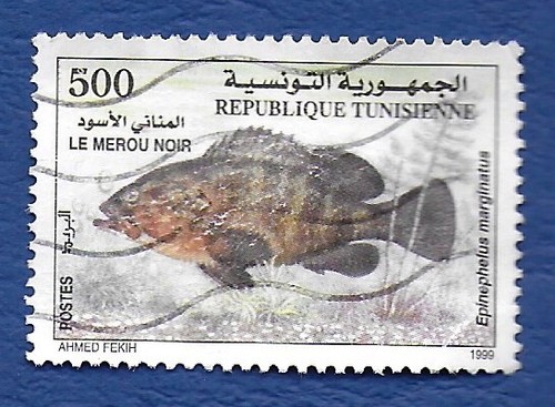 Timbre tunisie 1999 faune - timbre,