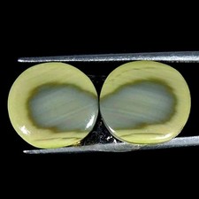 Coppia Di Cabochon Rotondi In