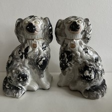 Rara coppia di cani 19C nero