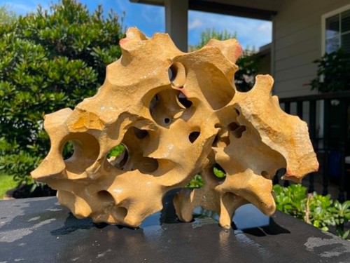 Holey rock acquario - rock,