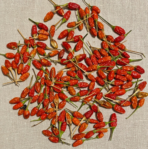 Peperoncini cumari de - peperoncini, "cumari