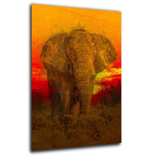 Quadro moderno stampa - , tela