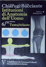 Chiarugi bucciante ISTITUZIONI