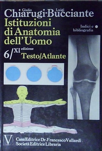 Chiarugi bucciante istituzioni - bucciante,