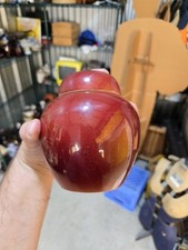 Vaso vaso zenzero sangue di