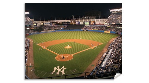 New york yankees yankee - ny,