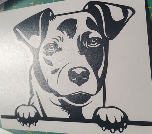 Adesivo jack russell - 1x,