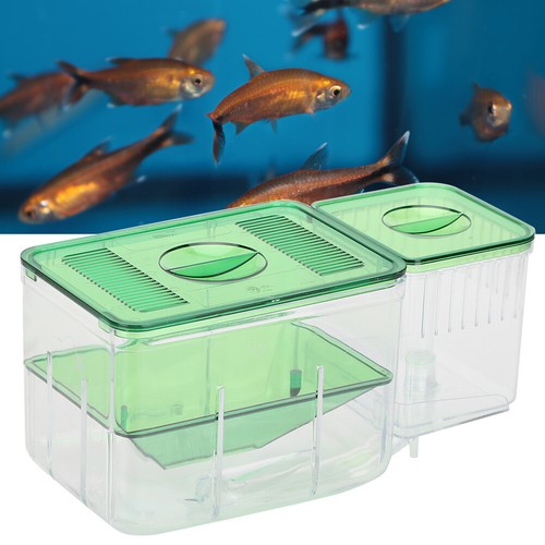 Acquario pesci serbatoi - acquario,