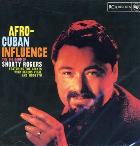 Afro cuban influence - afro-cuban,