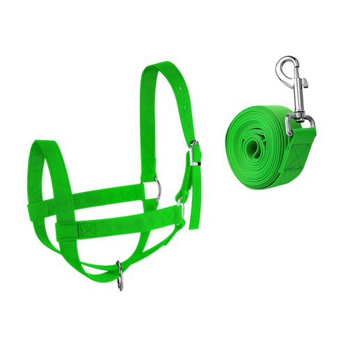 Cavezza nylon per mucche - in,