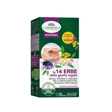 L Angelica Le 14 Erbe della