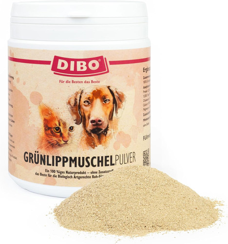 Grünlipp conchiglia in - -,