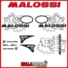 3317672 KIT ADESIVI TROFEO