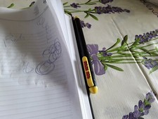 RARA PENNA AUGURI MONDADORI