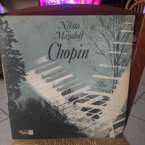 Disco vinile - disco, in