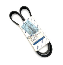 Cinghia Servizi Ford Fiesta MK4 | Puma 1.25 1.4 OEM 1004484 | 6PK1181 Originale