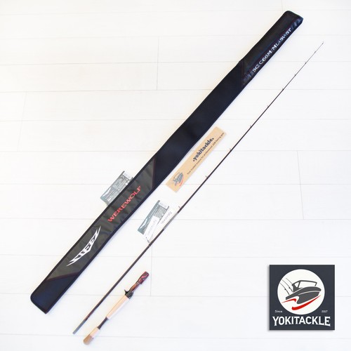 Daiwa steez shore - daiwa,