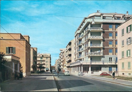 P904 cartolina molfetta via - cartolina,