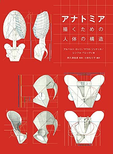 Anatomia the structure - the,