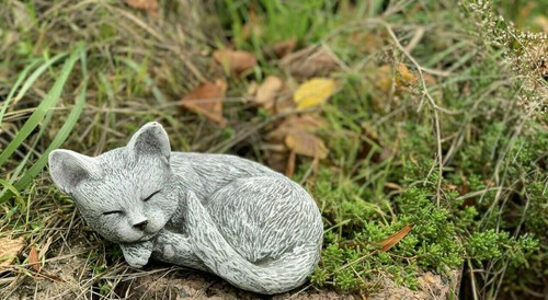 Gatto pietra leonie che - gatto,