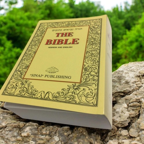 Libro sacra bibbia - libro,