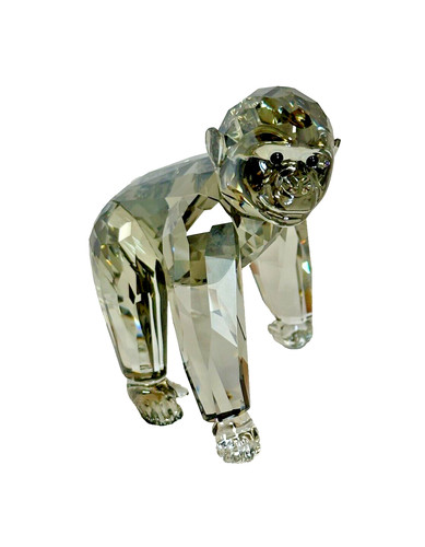 Swarovski scs membership - scs,