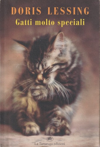 Gatti molto speciali doris - gatti,