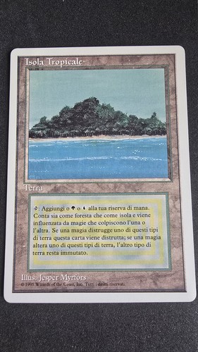 Magic wizards the coast - ,