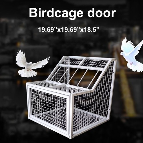 Trap for pigeon birds - pigeon, house