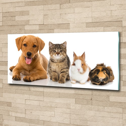 Quadro immagine arte parete - arte,