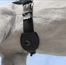 Arazzo Comodo Dressage
