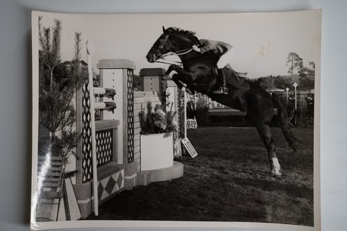 Foto analogica francia - analogica,