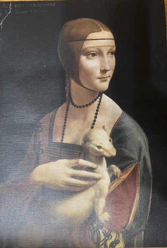 Leonardo vinci dama - , con