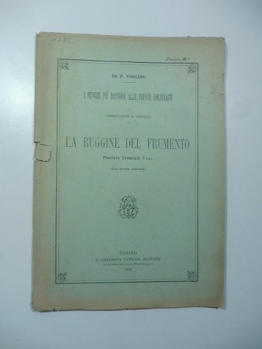 Voglino funghi piu - voglino,, i