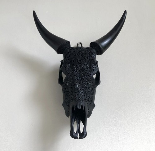 Testa mucca - testa,