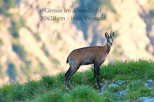 Leinwandbild aus oberstdorf - aus,