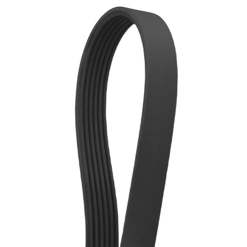 Ceinture côtelée haute