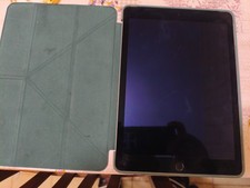 ipad air 2 WI-FI e Cell.