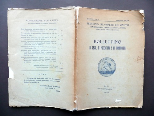 Litorale dalmato chiozzo - dalmato, chiozzo-go