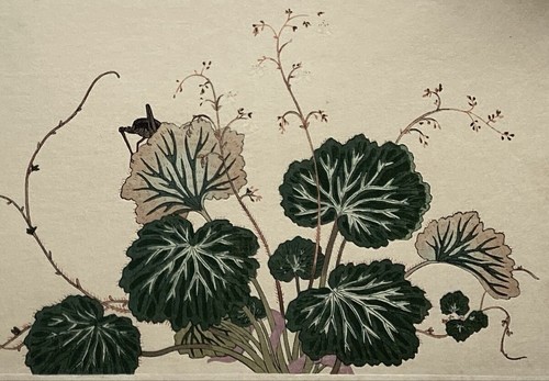 Kitagawa utamaro xilografia - kitagawa,