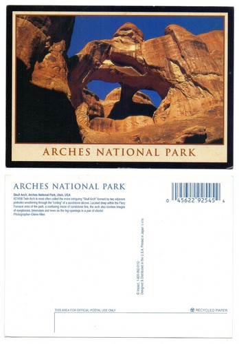 126221 skull arch - 126221, arches