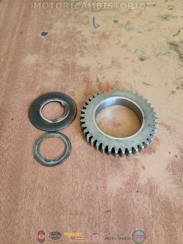Ingranaggio distribuzione moto - ingranaggio,