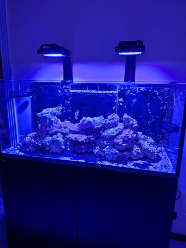 Lampada per acquario - acquario, g5