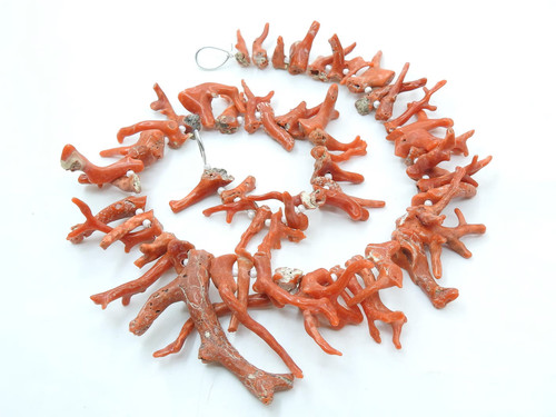 Ramo corallo rosso naturale - corallo,