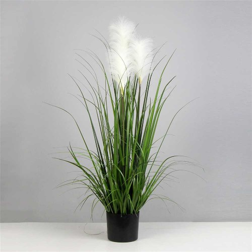 Pianta artificiale pampas - pianta,